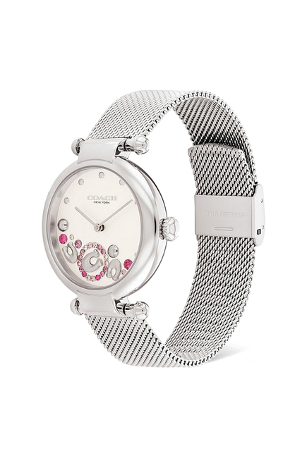 Cary Stainless Steel Mesh Bracelet Watch