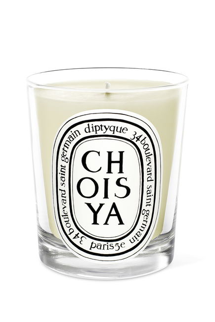 Choisya Candle