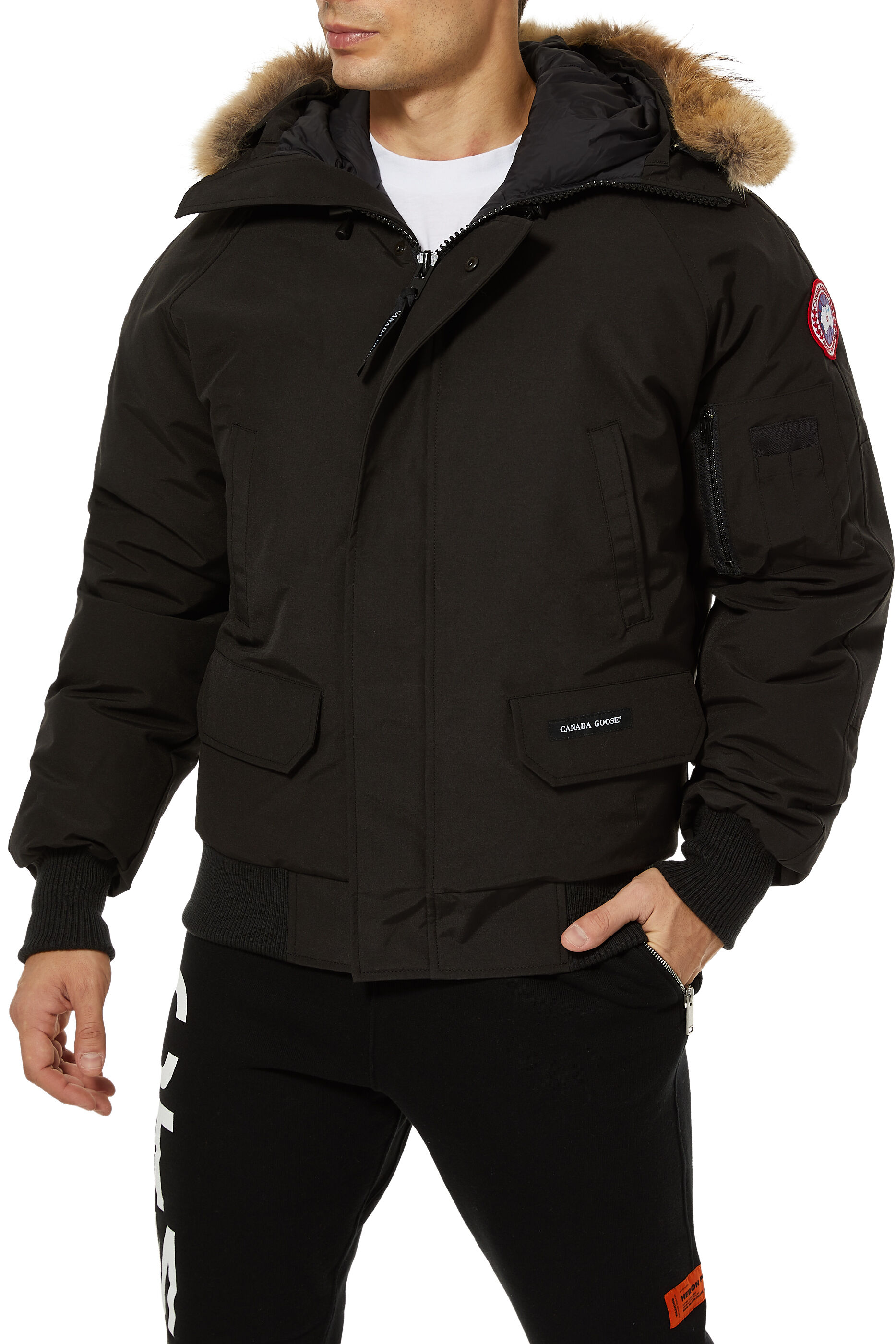 canada goose chilliwack xl