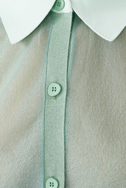 Malin Sheer Button-Up Organza Shirt