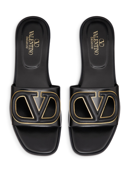 VLogo Cut-Out Slides