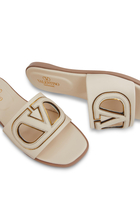 VLogo Cut-Out Slides