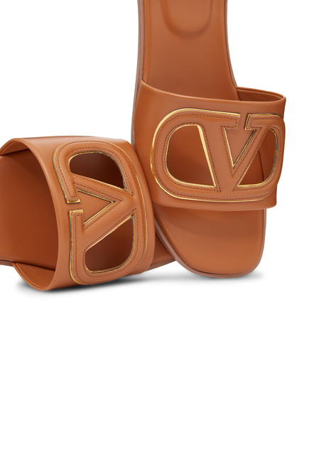 VLogo Cut-Out Slides