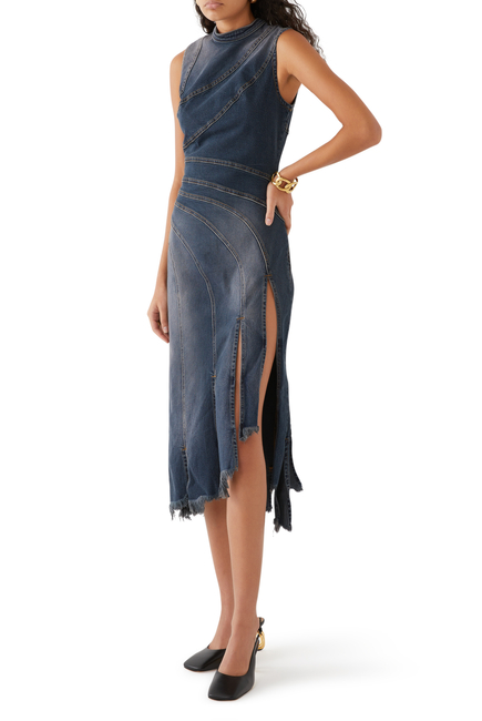 Sorriso Denim Dress