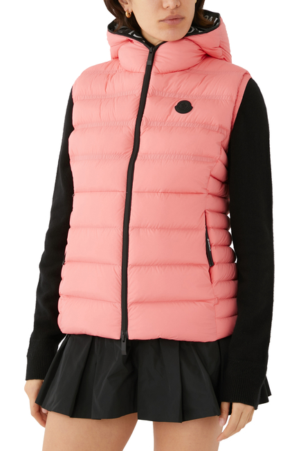 Aliterse Down Vest