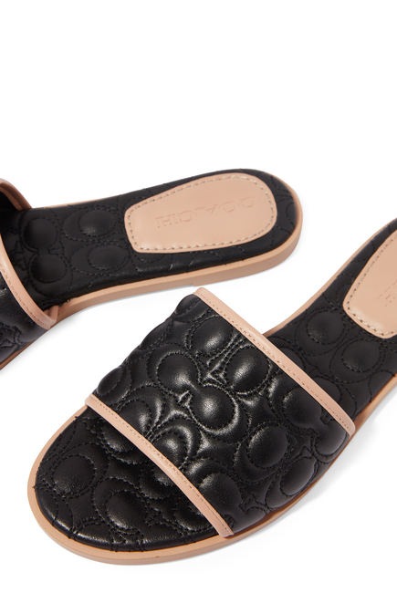 Olivea Slide Sandals