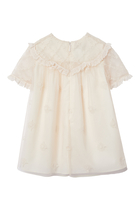 Baby Embroidered Tulle Dress