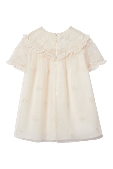 Baby Embroidered Tulle Dress