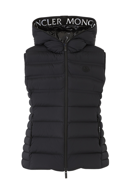 Aliterse Down Vest