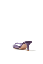 Elle 55 Plexi Mules