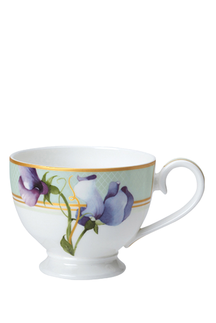 Trellis Teacup And Saucer Set