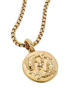 Pisces Zodiac Amulet