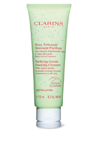 Purifying Gentle Foaming Cleanser