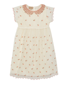 Tulle Embroidery Dress