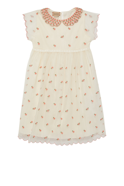 Tulle Embroidery Dress