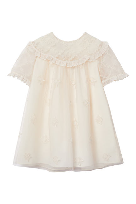 Baby Embroidered Tulle Dress