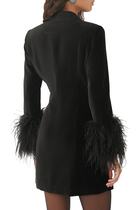 Latoya Feather Cuff Mini Dress