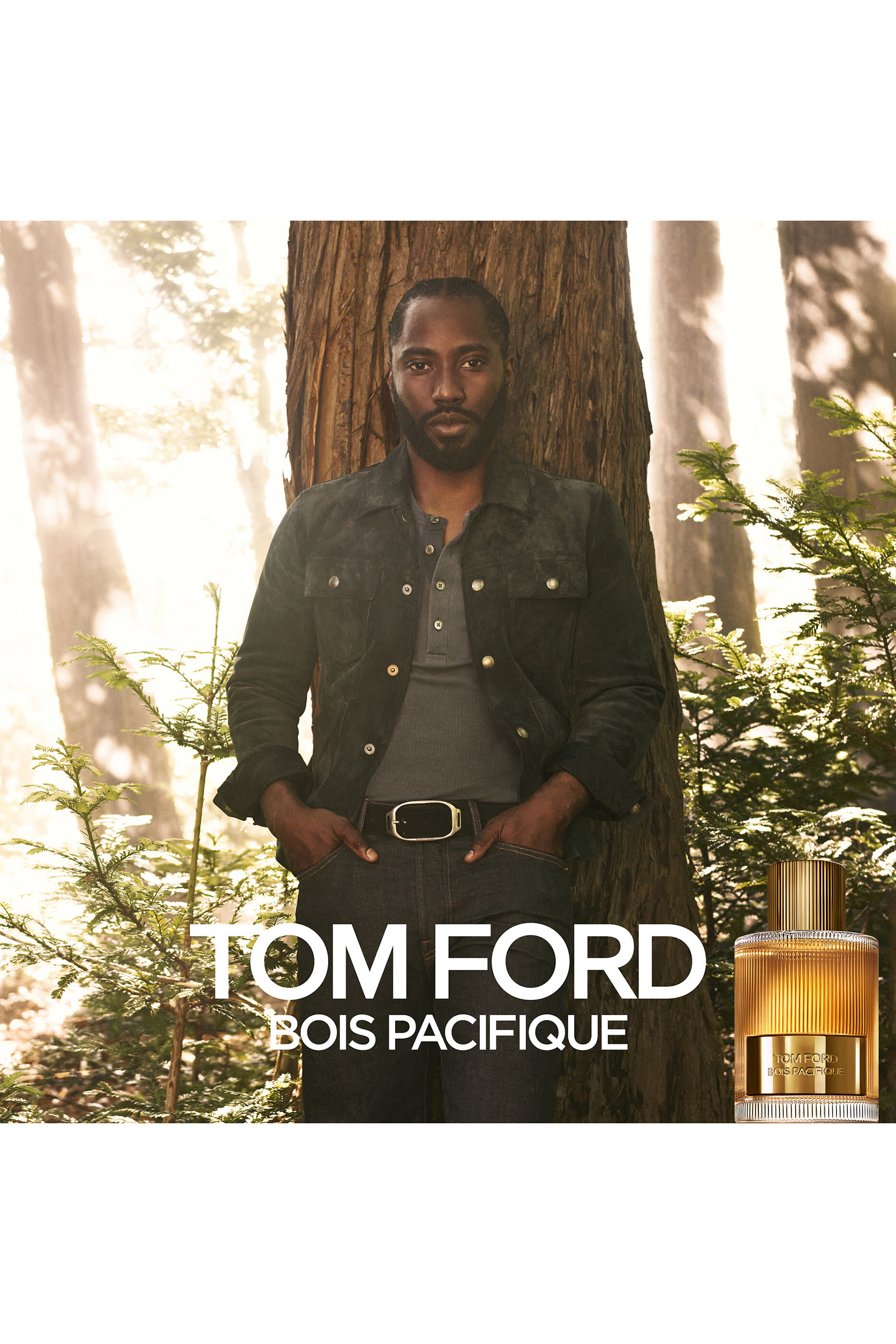 TOM FORD BOIS PACIFIQUE 50ml オードパルファム 51vIsnRJtQL._AC_UF1000,