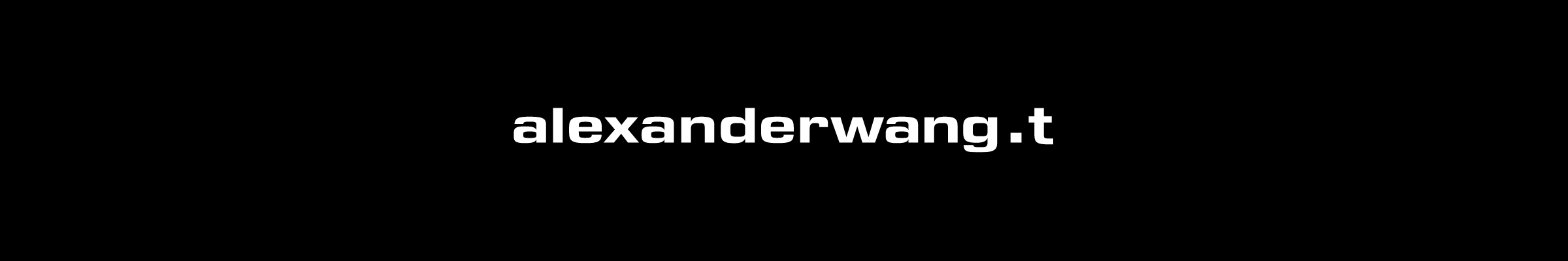 t-by-alexander-wang-banner