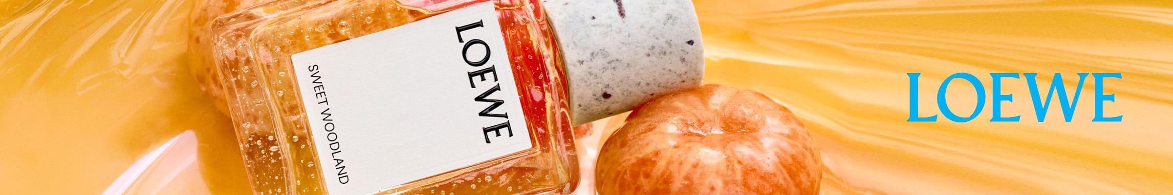 WK28_26-PLPBanner-BTY-Loewe