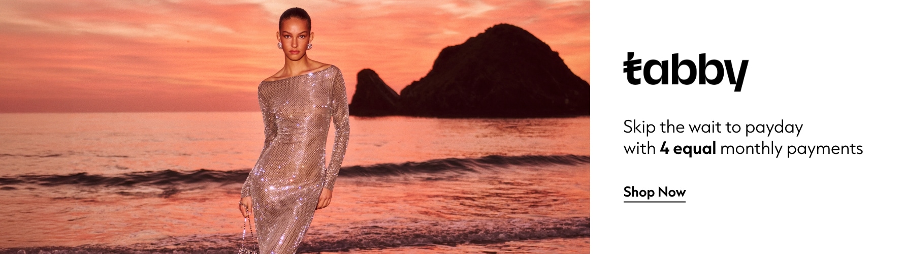 Tabby Interrupter March 2026