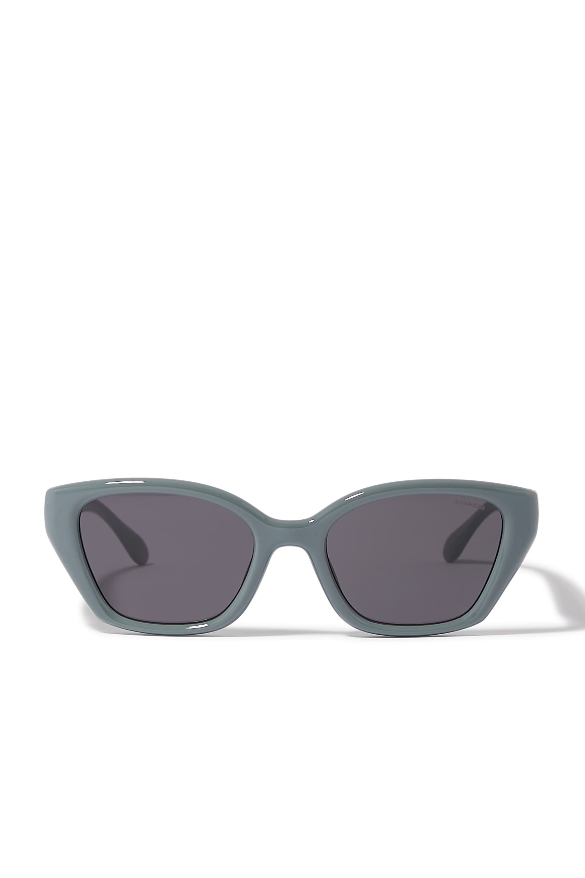 Irreg Frame Sculpted C Logo Temple Sunglasses
