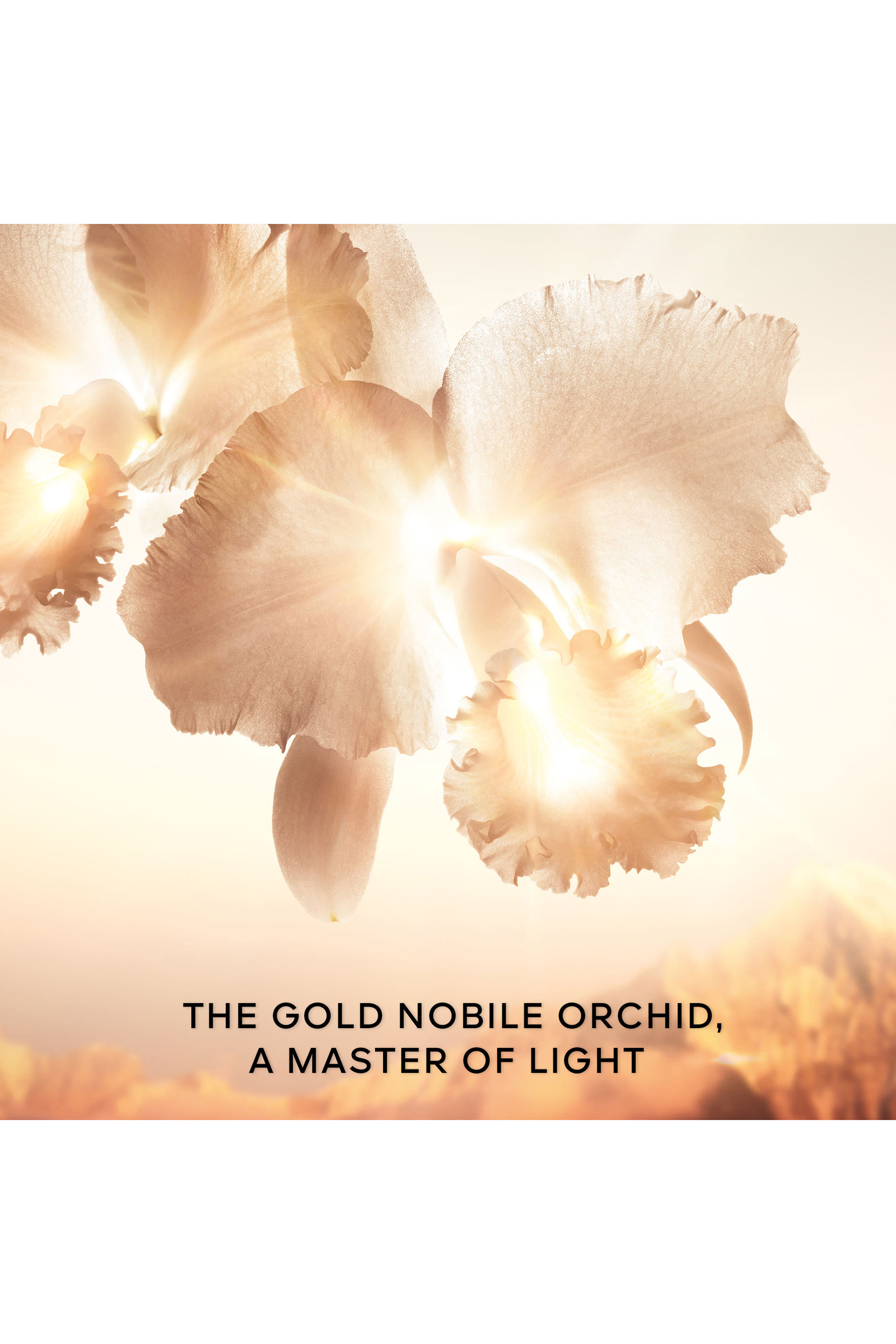 Orchidée Impériale Gold Nobile Serum