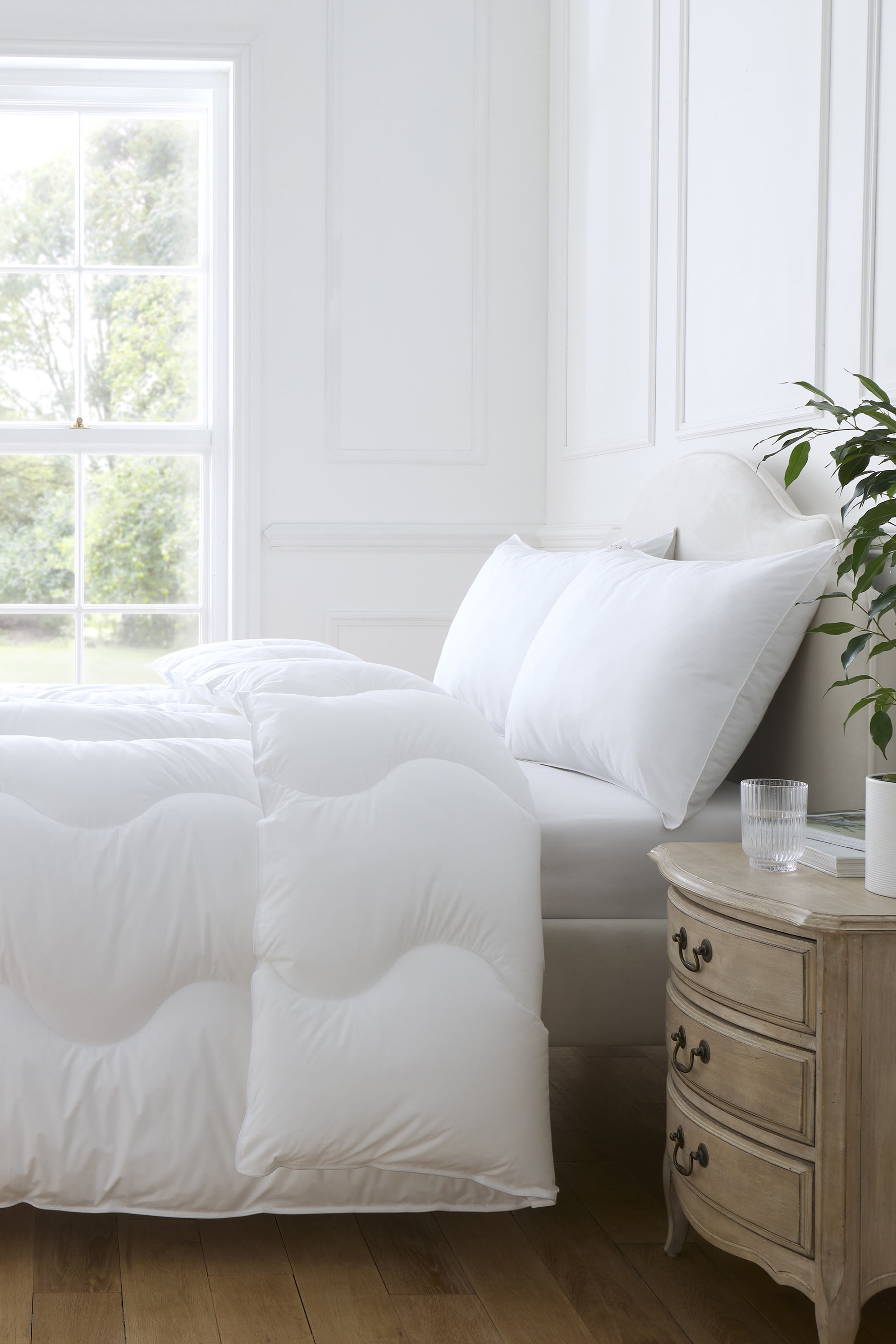 Pure Comfort Anti-Allergy Firm Support Pillow - Set of 2