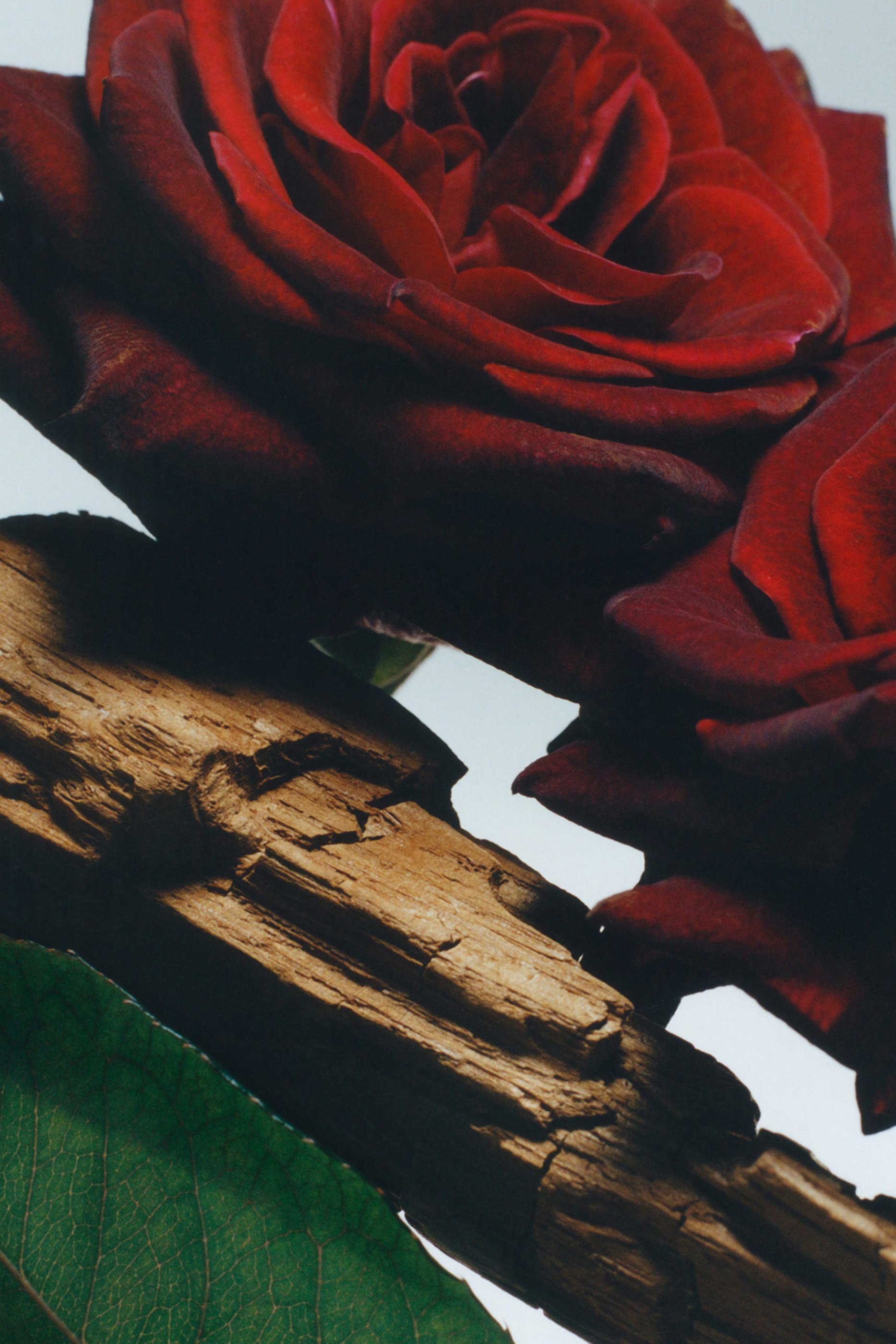 Velvet Rose & Oud All Over Body Spray