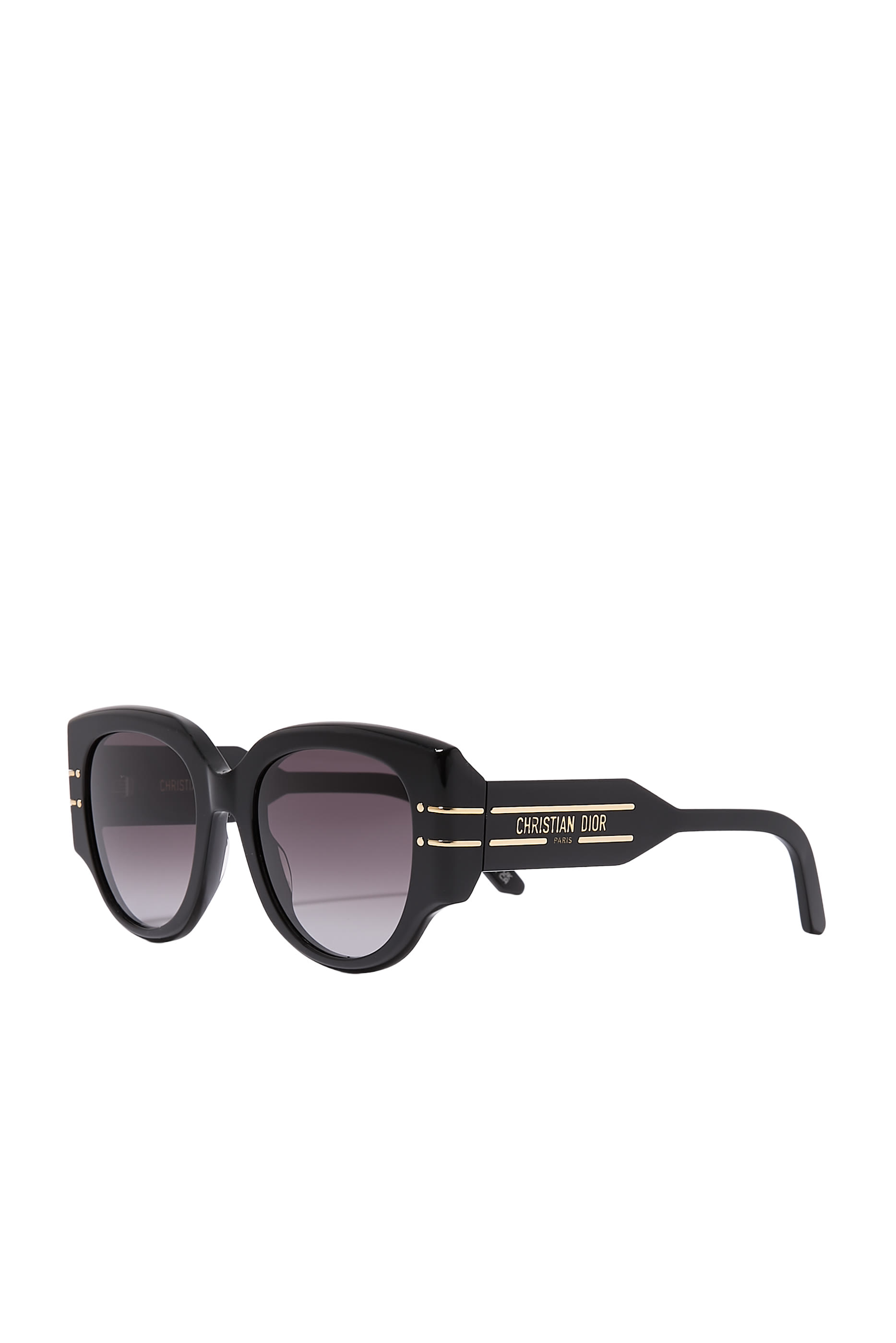 DiorSignature R2I Butterfly Sunglasses