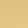 Light/Pastel Yellow