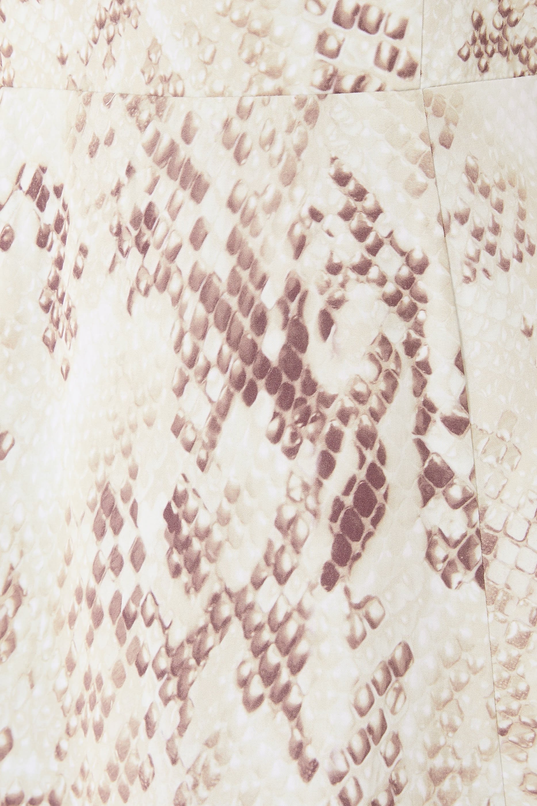 Sutton Python Print Maxi Dress