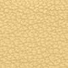 Light/Pastel Yellow