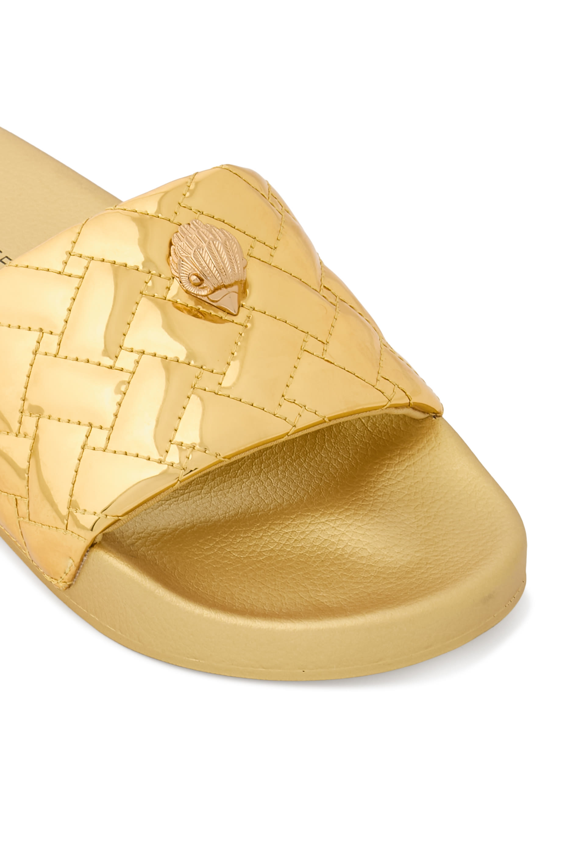  Meena Eagle Slides 