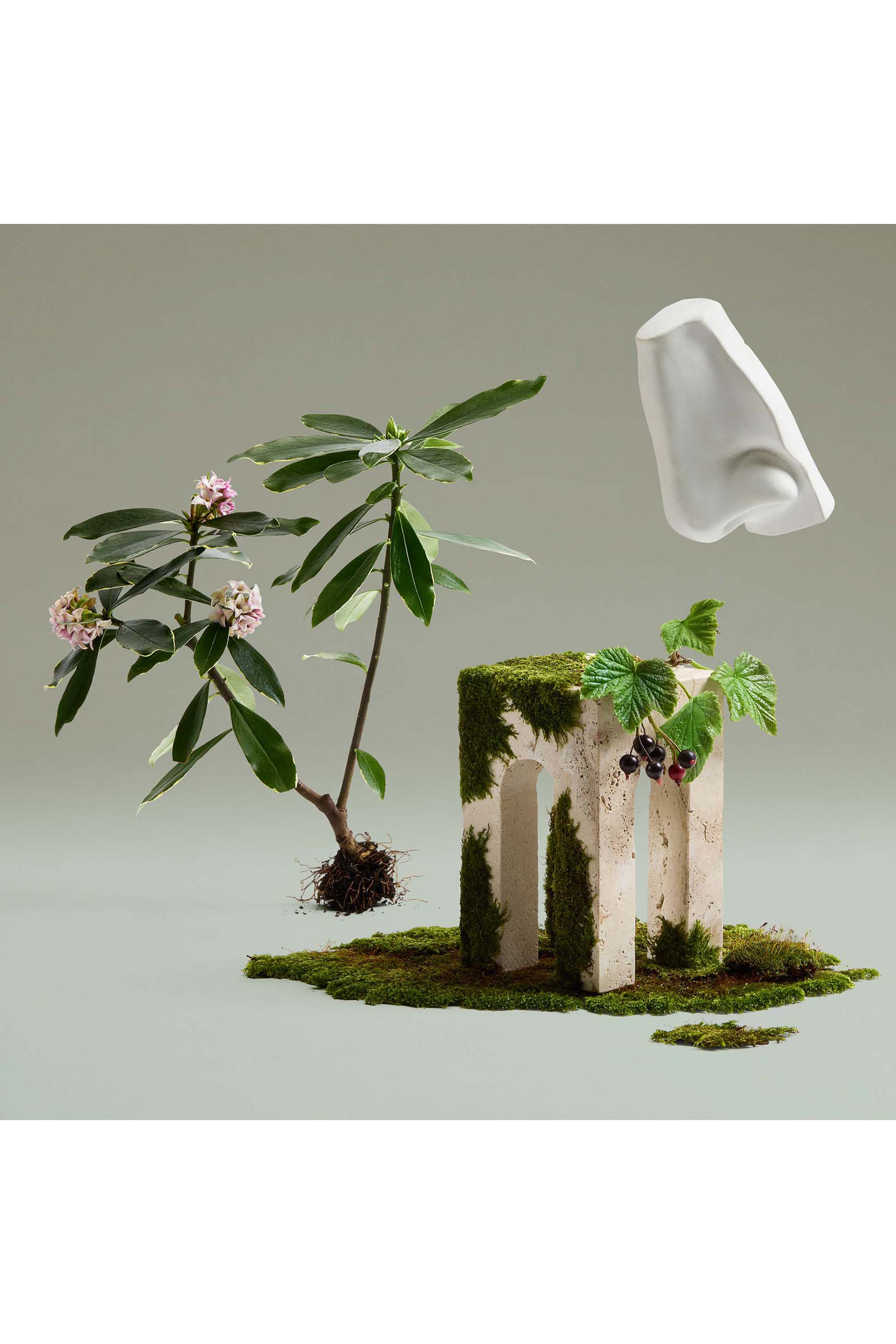 Daphne Bouquet Eau de Parfum