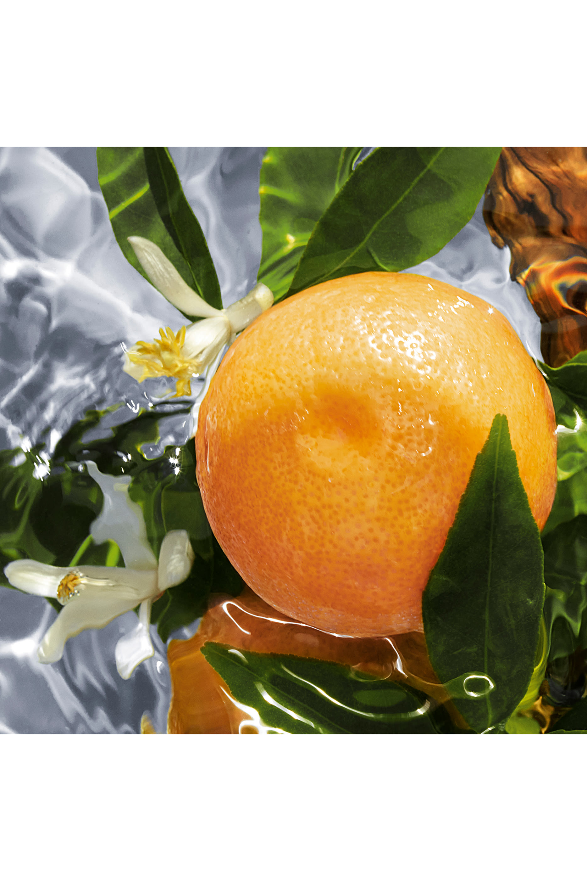 Pamplelune Eau de Toilette