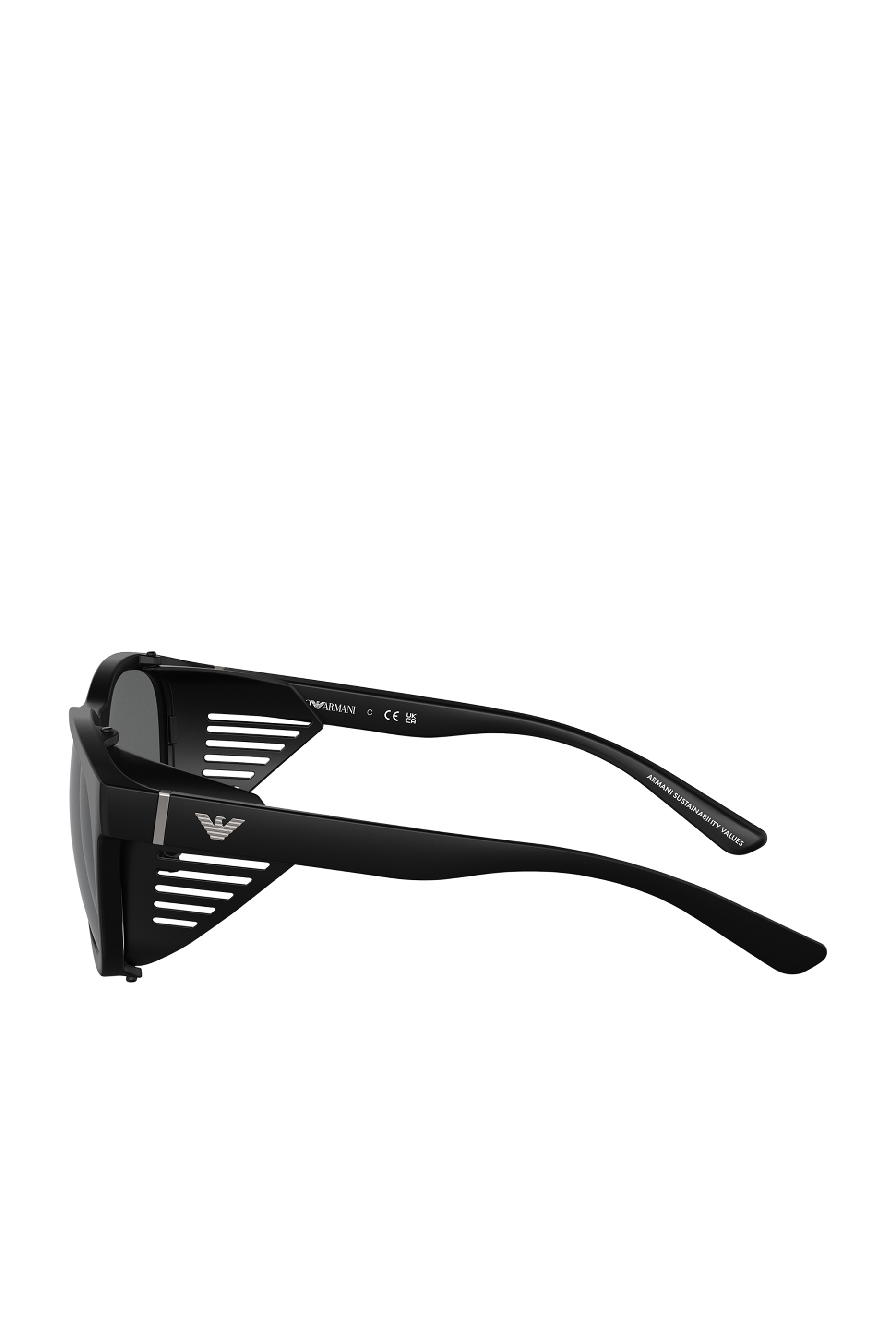 D-Frame Sunglasses With Interchangeable Temples