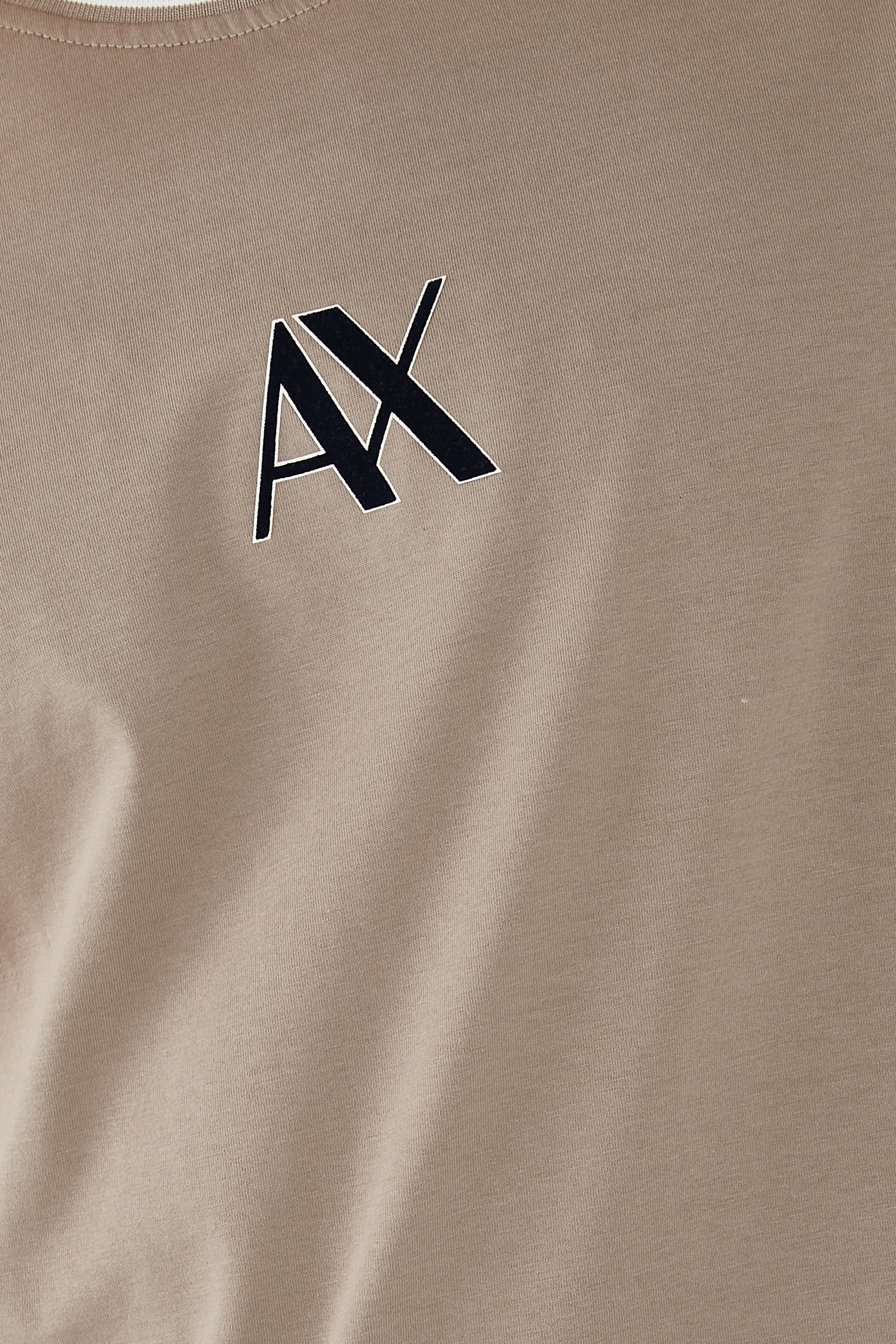 Regular Fit T-Shirt with Striped Crew Neck