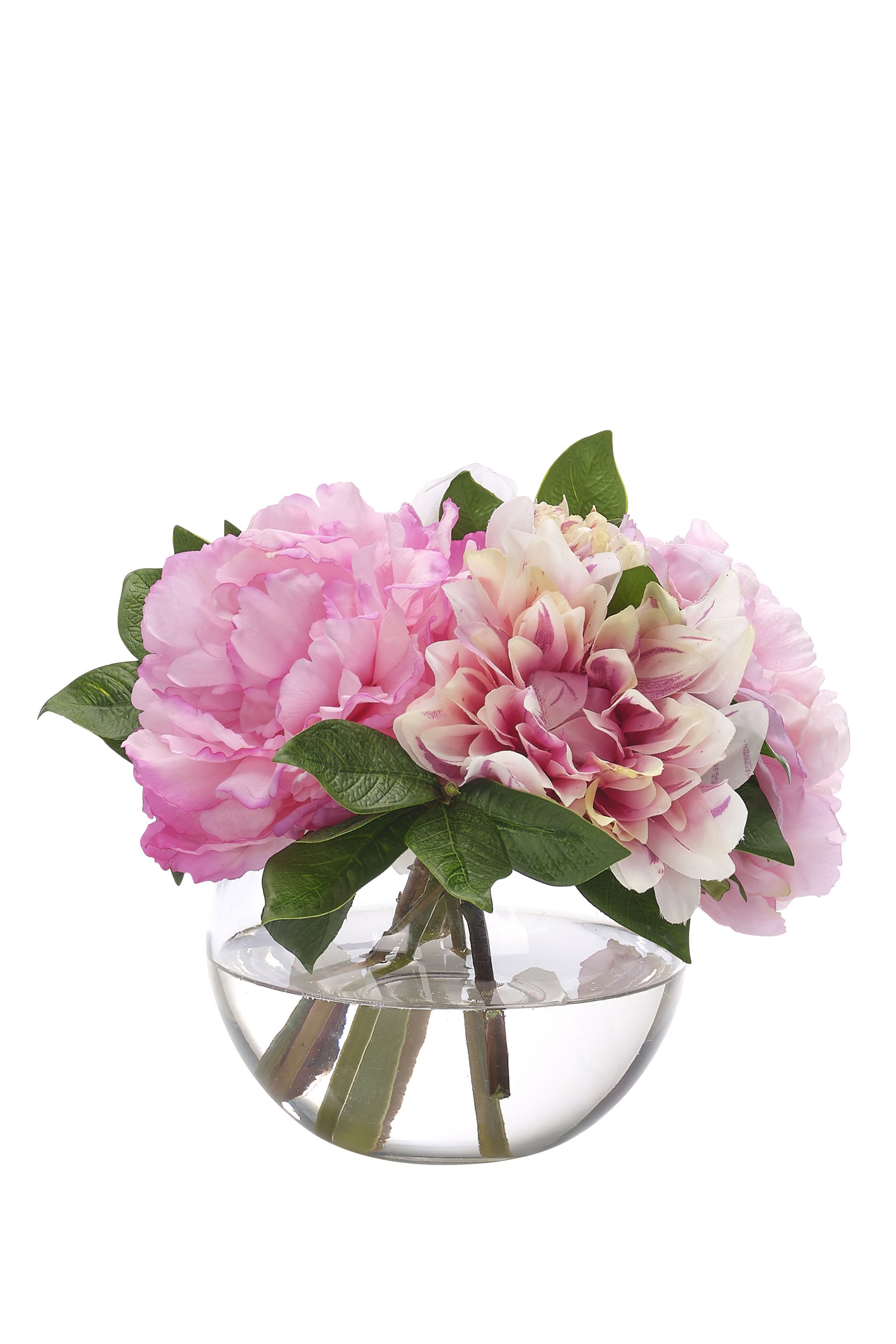 Dahlia Peony - Faux Watergarden