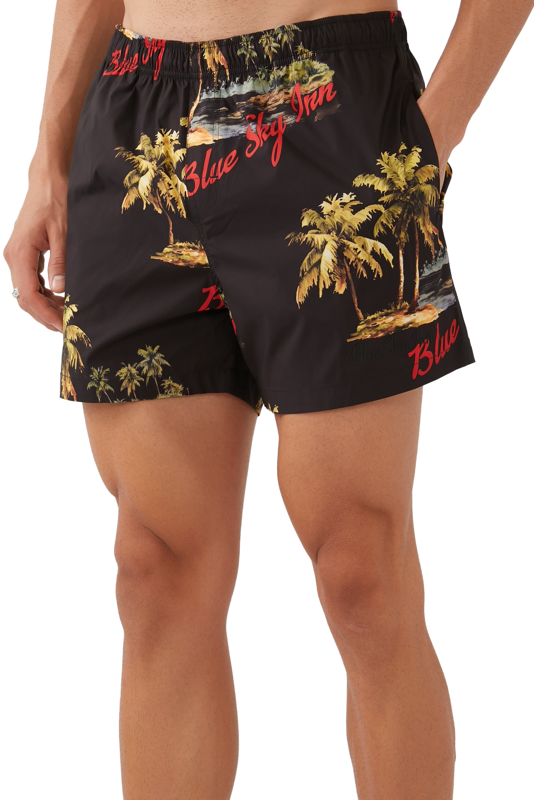 Island Swim Shorts
