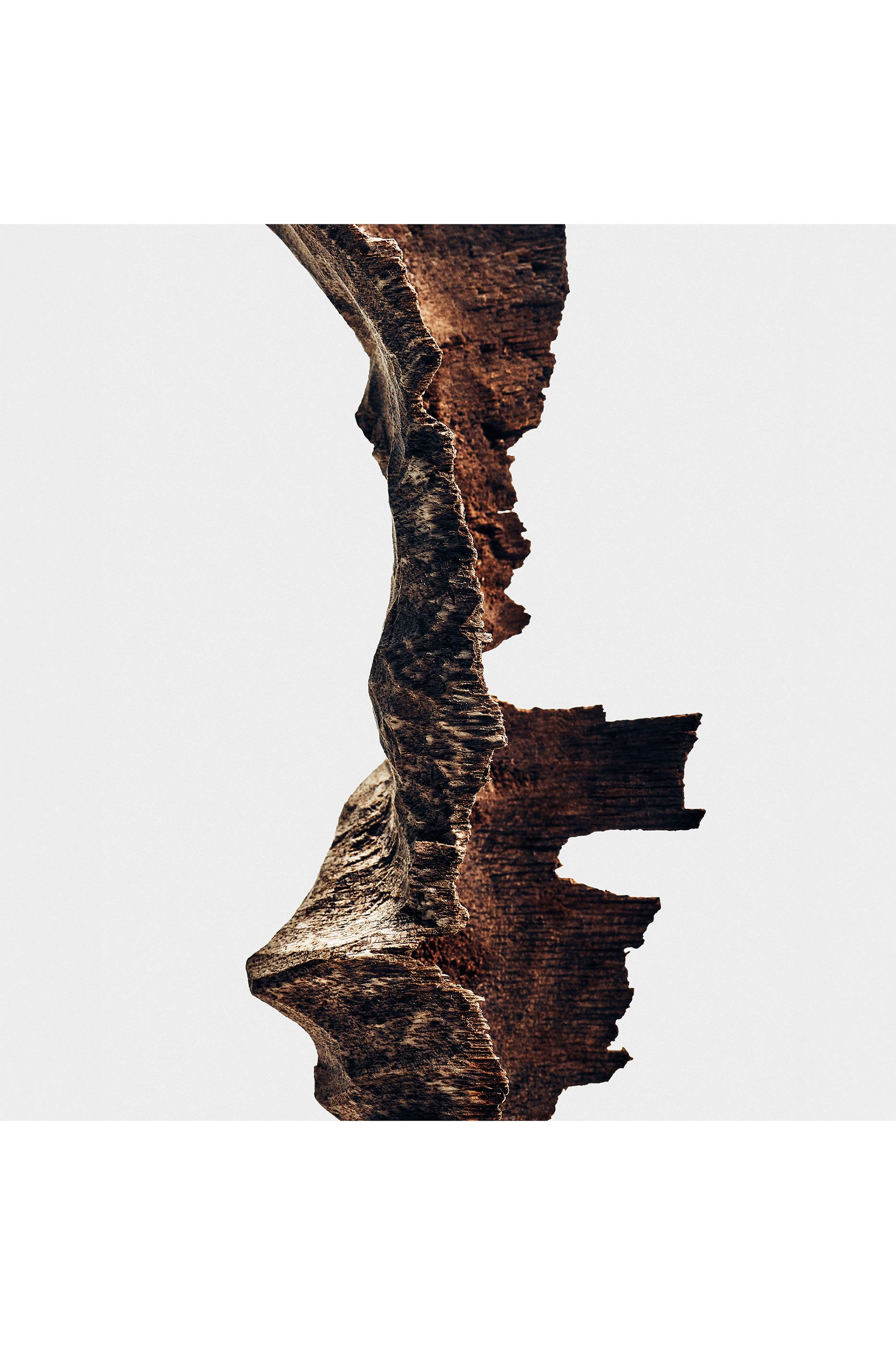 Bittersweet Oud Eau de Parfum