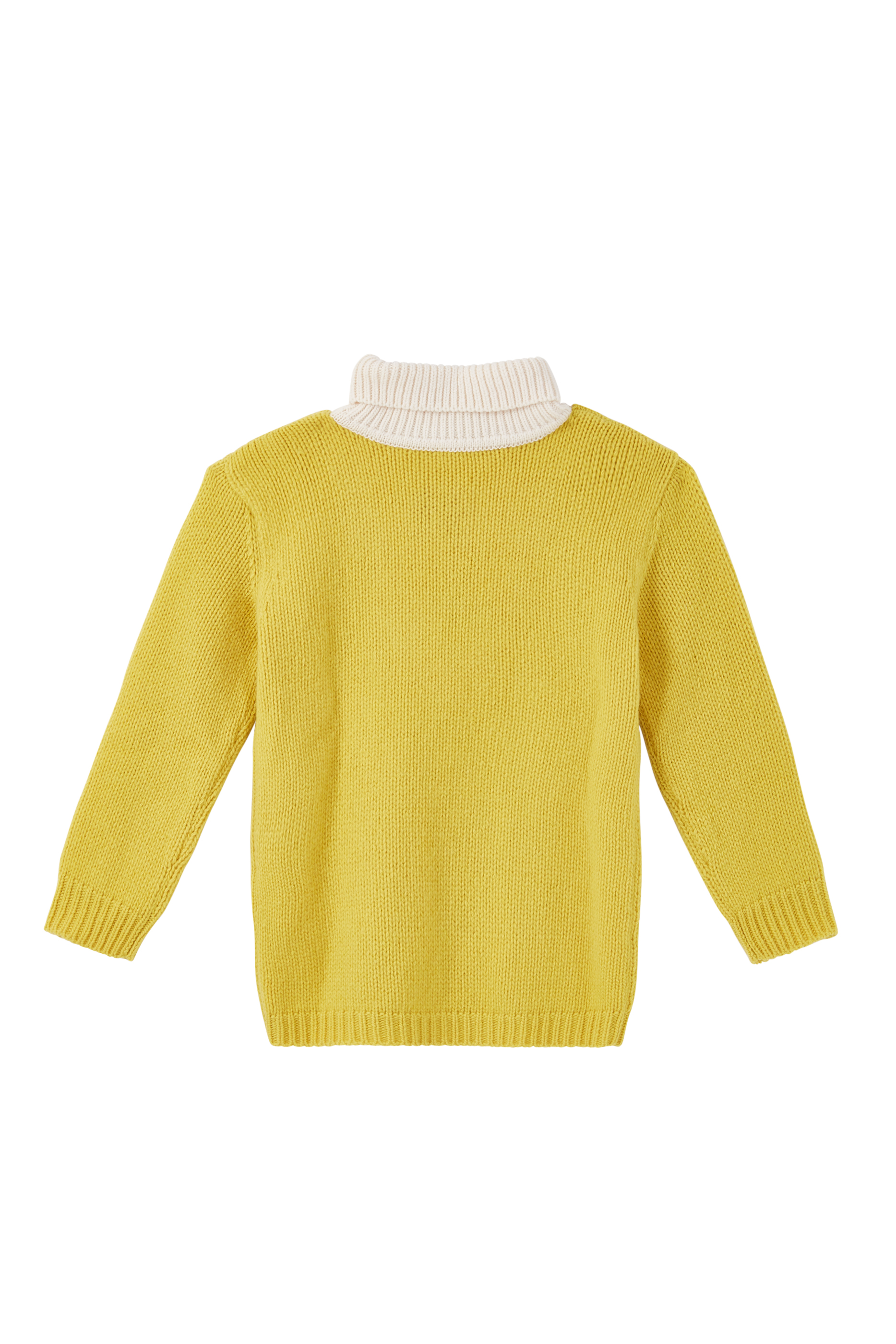 Turtleneck Embroidered Sweater