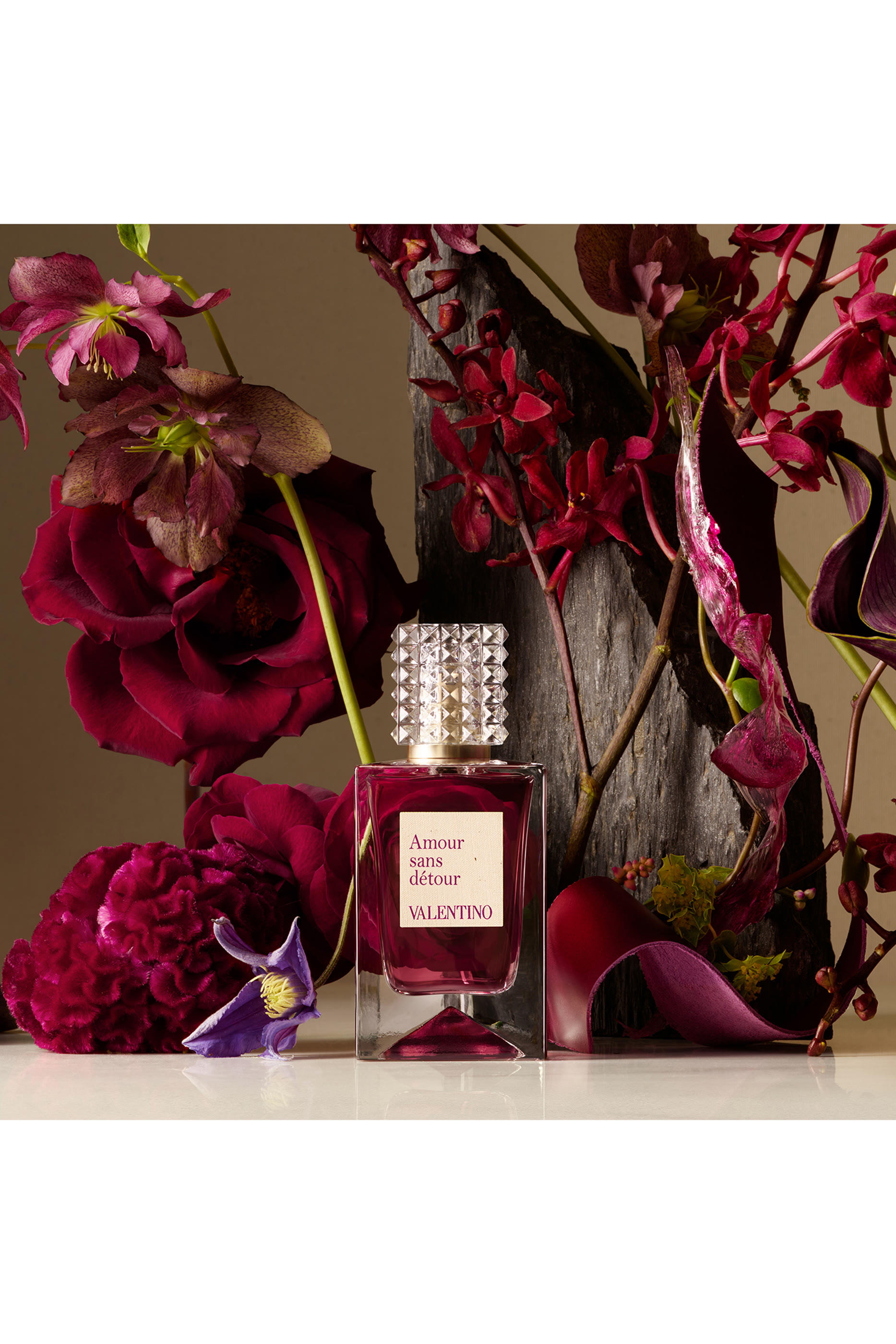 Anatomy of Dreams – Amour Sans Détour 