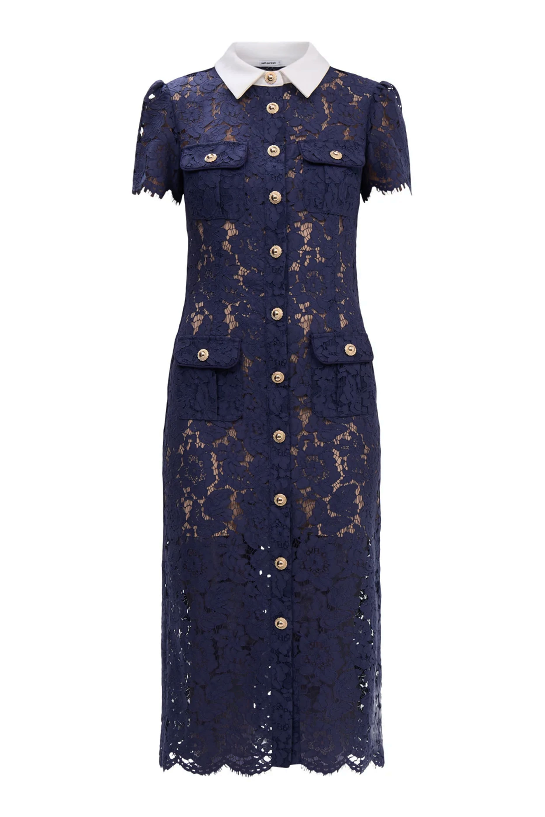 Lace Contrast Collar Midi Dress