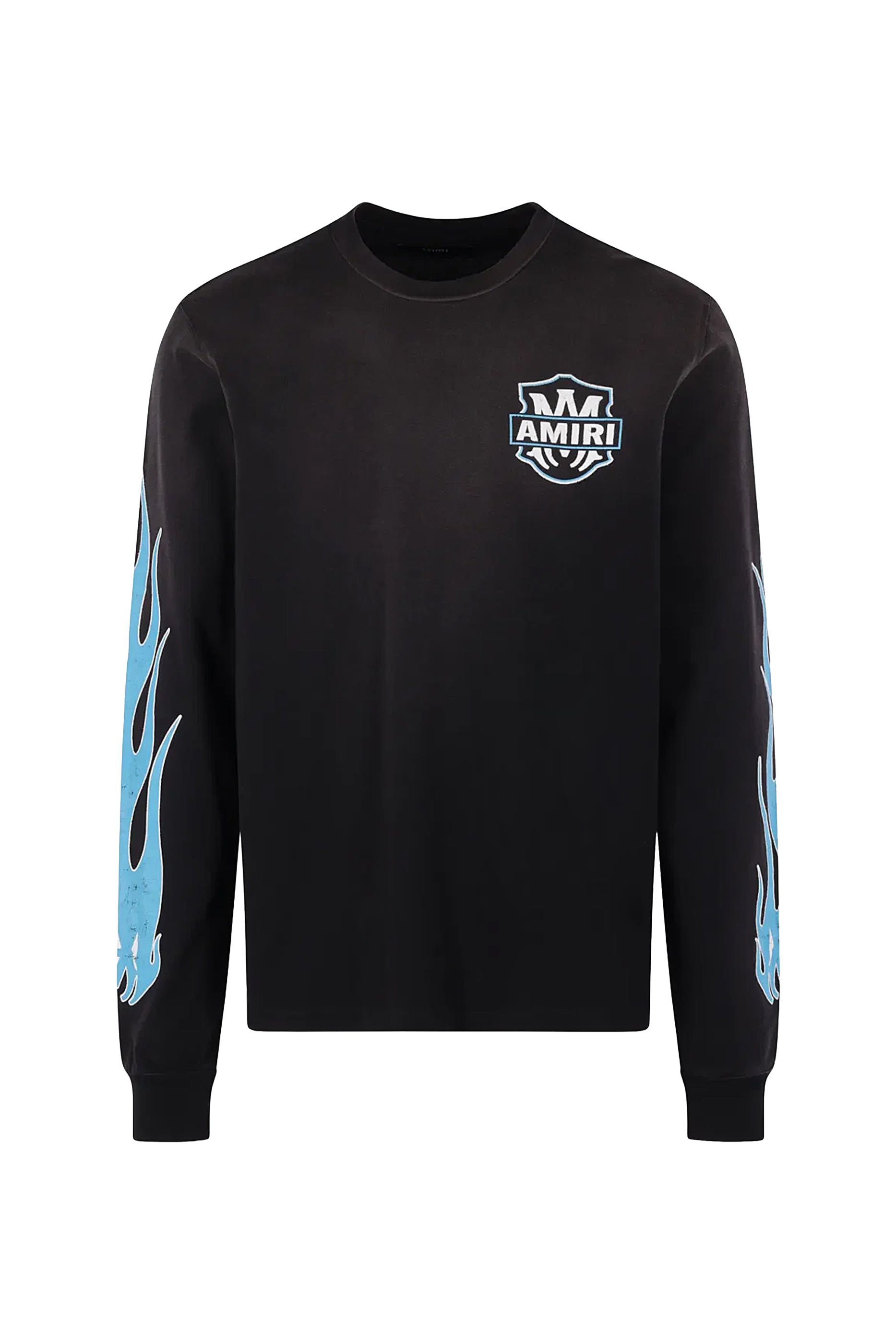 Eagle Flames Graphic T-Shirt