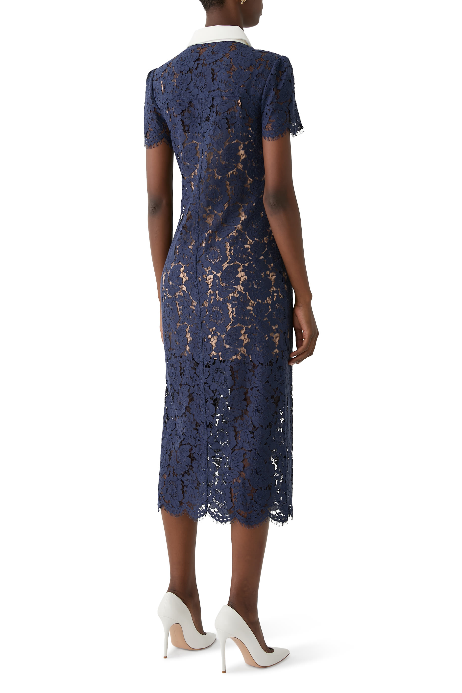 Lace Contrast Collar Midi Dress