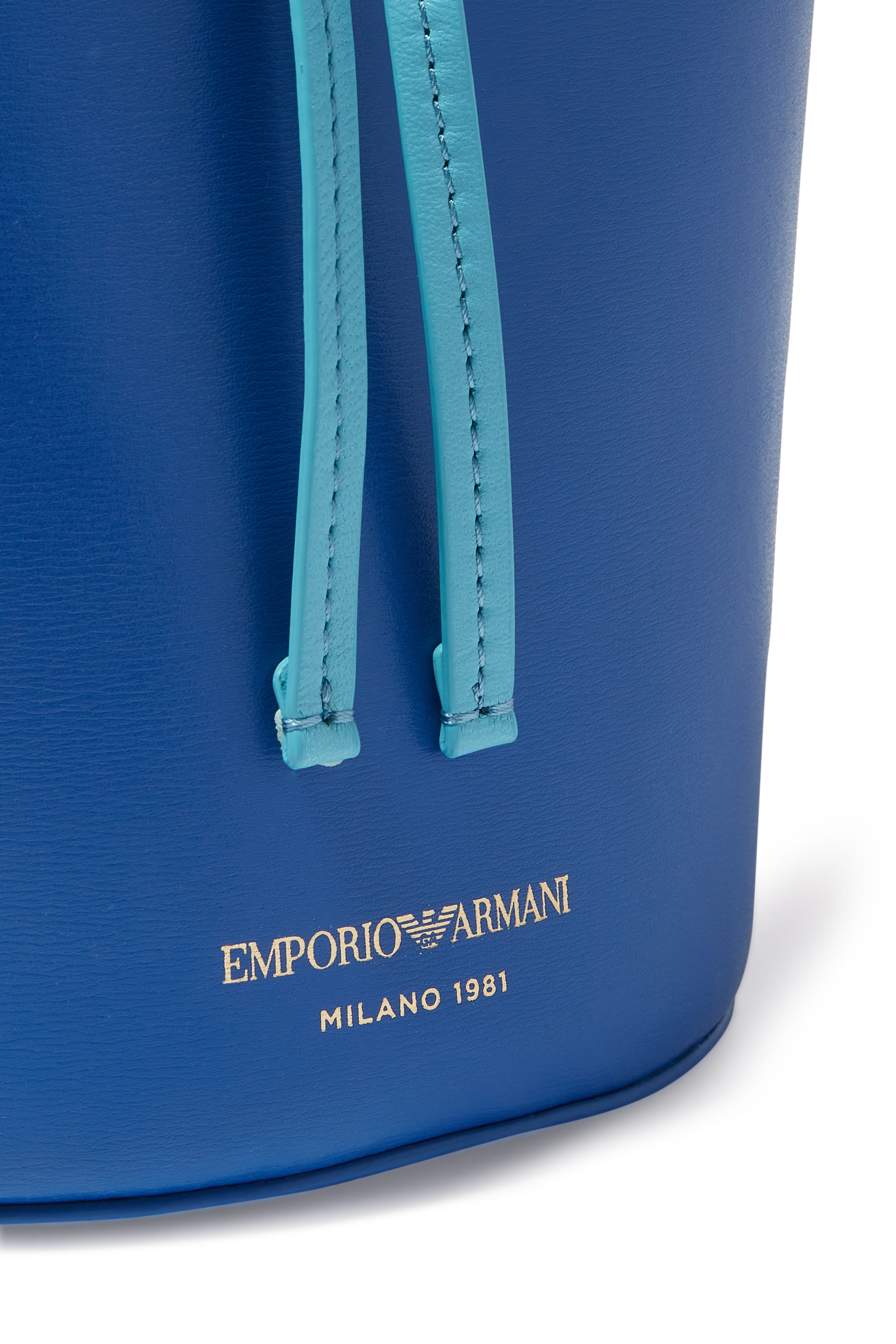 Patty Palmellato Leather Bucket Bag