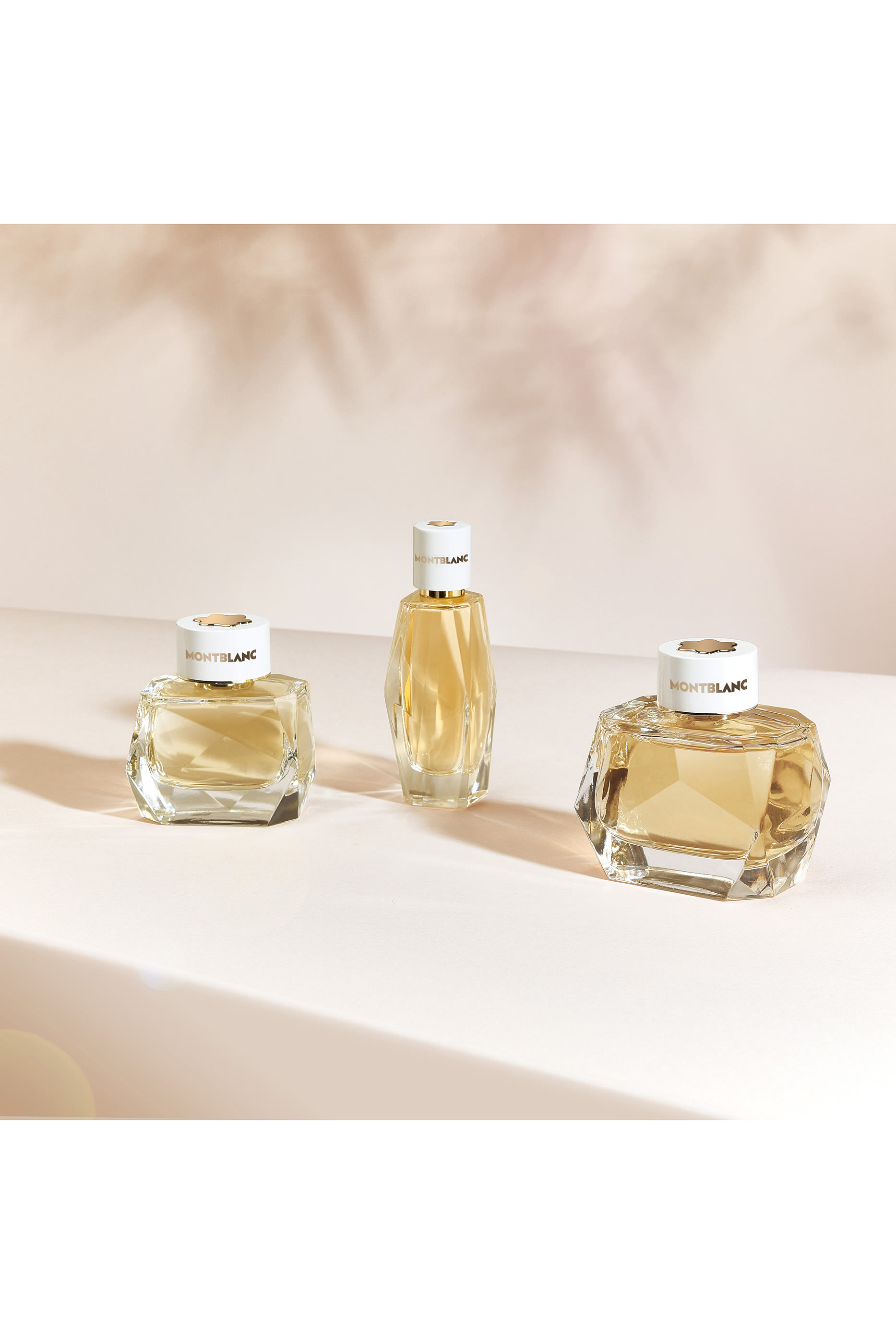 Signature Absolue Eau De Parfum