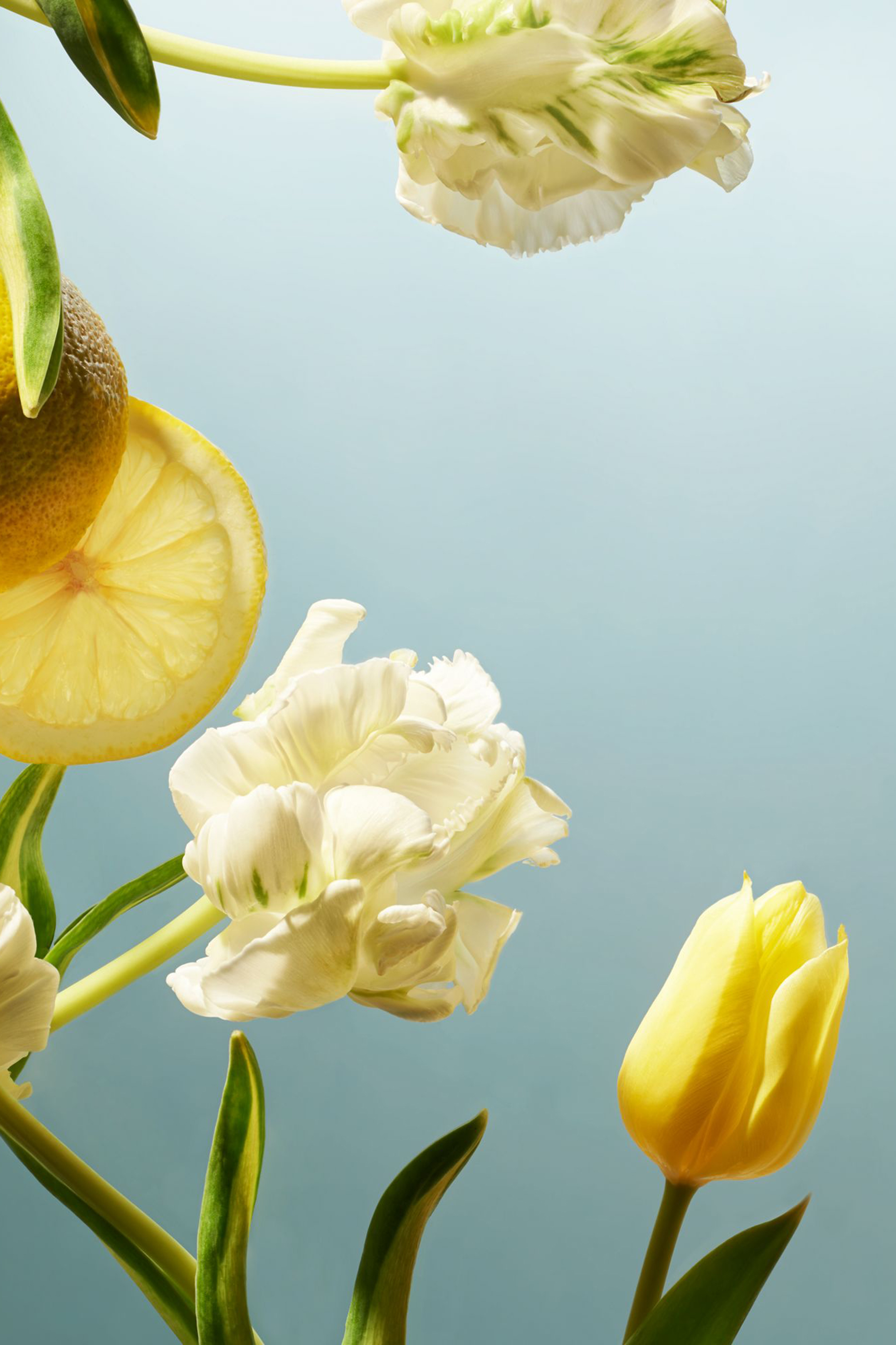 Amsterdam Collection Foaming Shower Gel