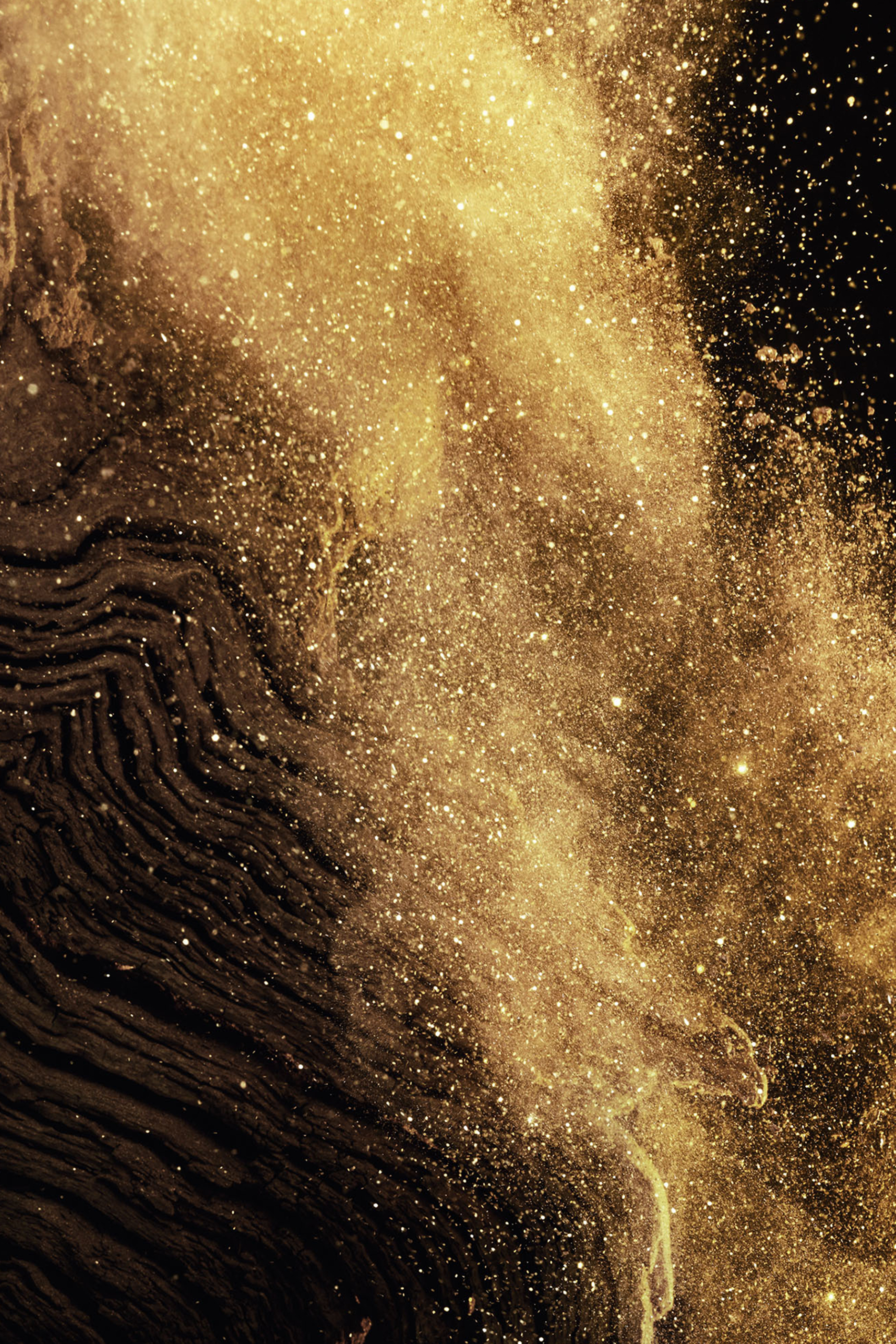 Épices Exquises Eau de Parfum